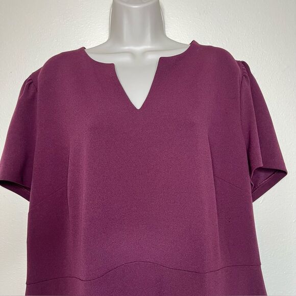 New The Limited Wine Tasting Split Neck Short Sleeve Sheath Dress Women Size 20W - Picture 4 of 13